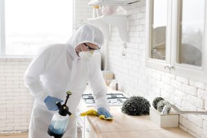 black mould in your home